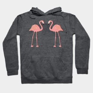 Flamingos, tropical, artwork, island, tropics, nature, gifts Hoodie